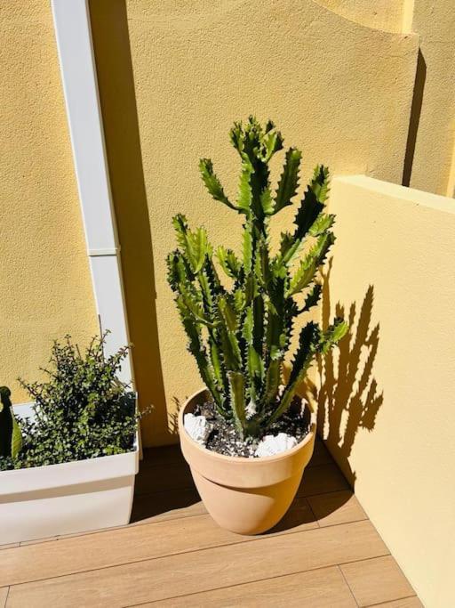 Appartement Penthouse, Solarium Sunshine & Pool